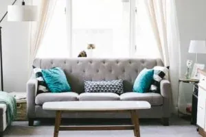 Gray sofa in living room, cat
