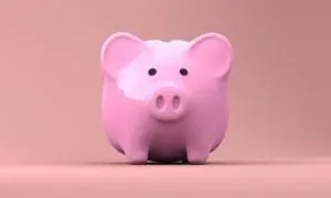 Pink piggy bank on pink background