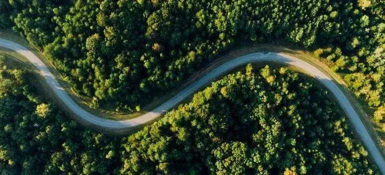 Aerial view of winding road through dense forest