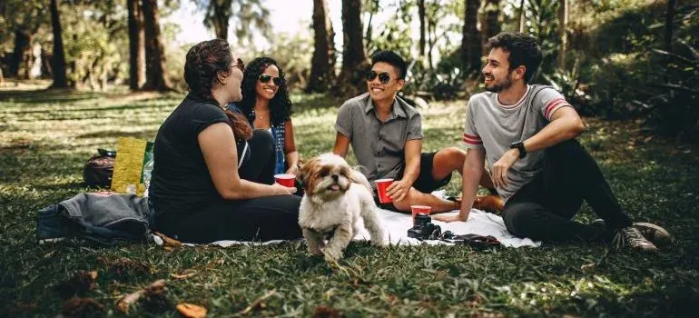 Friends picnic in park with dog