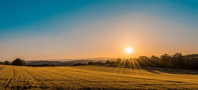 Sunset over open farm field