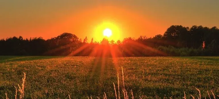 Sunset over grassy field