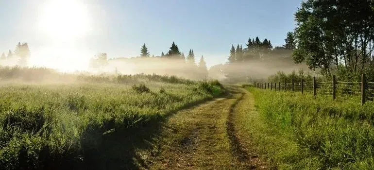 Sunlit misty meadow path along wooden fence