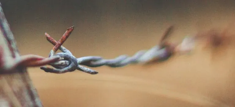 Close-up of rusty barbed wire