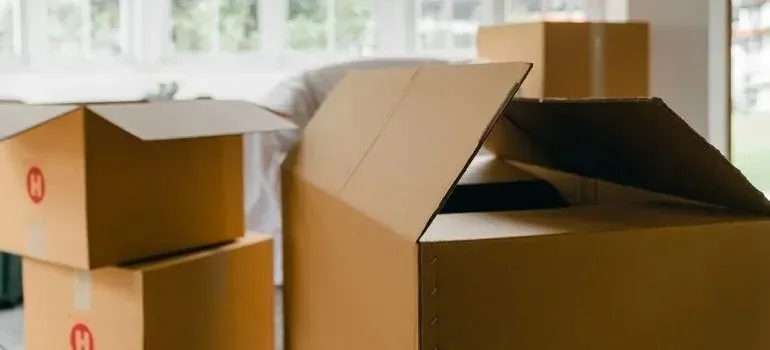 Open cardboard moving boxes in a bright living room