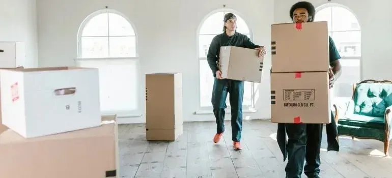 Two men carrying cardboard moving boxes in bright room