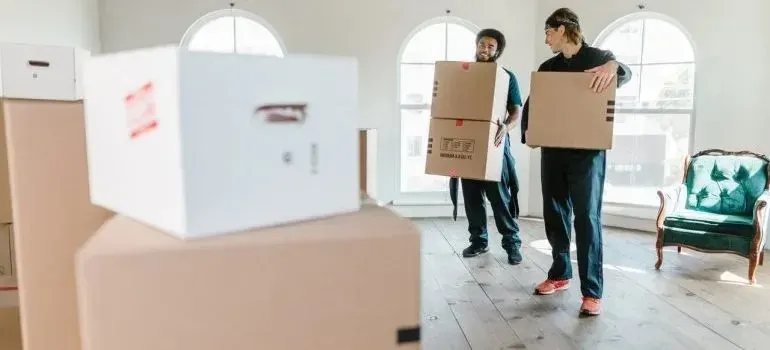 Two movers carrying boxes into bright empty room