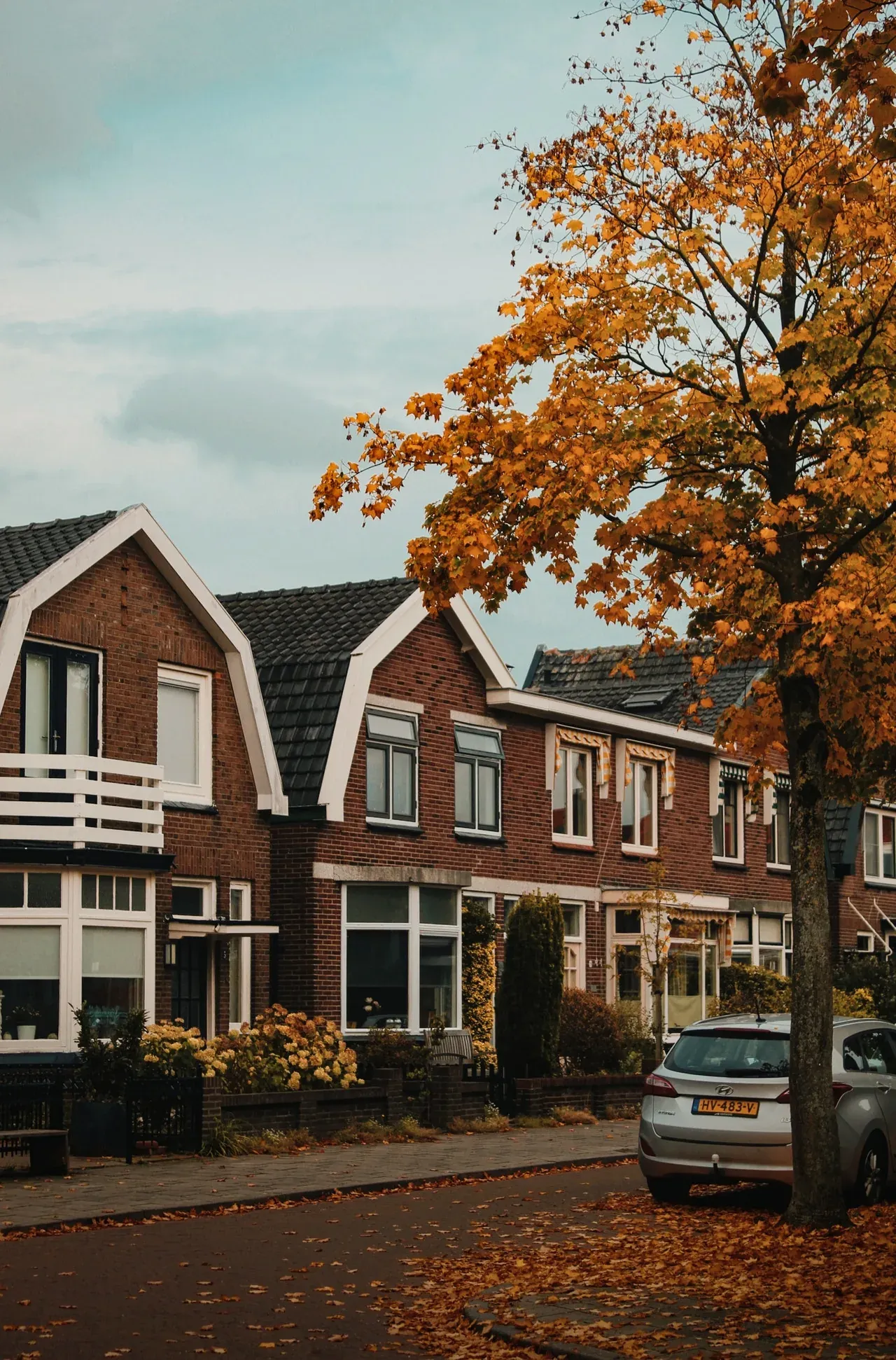 Brick houses street in autumn