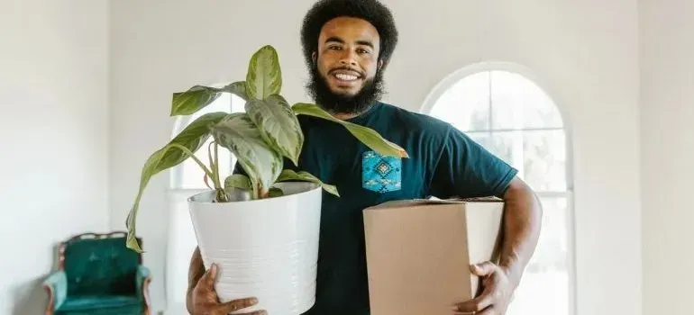 Smiling man carrying potted plant and moving box indoors