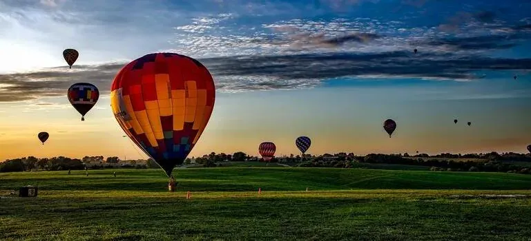 Hot air balloons over green field