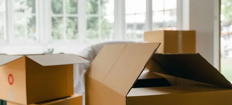 Open unbranded cardboard boxes by window