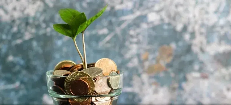 Green sprout growing from jar of coins, savings concept