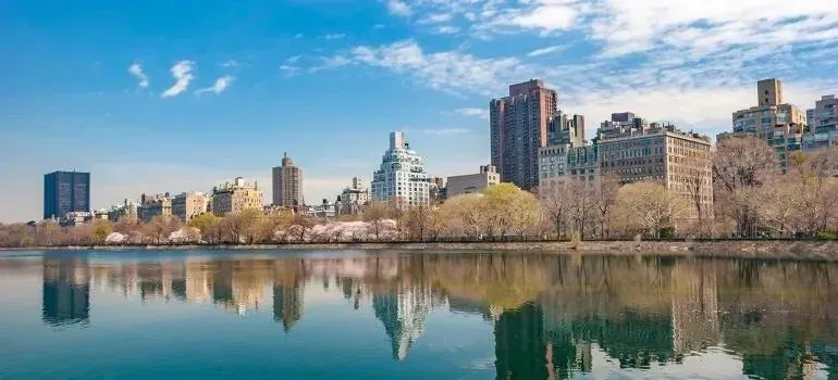 Central Park reservoir with city skyline and spring blossoms
