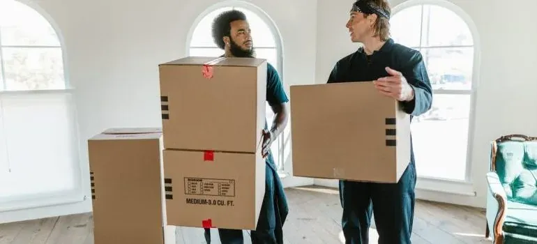 Two movers carrying generic medium cardboard boxes indoors