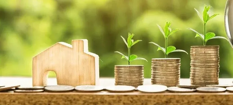 Wooden house with coin stacks, plants